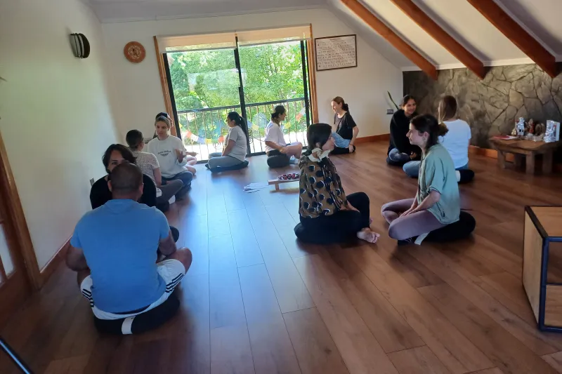 Nulla mollis sit amet ex consequat pulvinar.